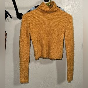 Cropped turtleneck sweater